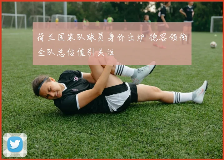 荷兰国家队球员身价出炉 德容领衔全队总估值引关注