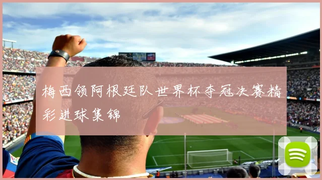 梅西领阿根廷队世界杯夺冠决赛精彩进球集锦